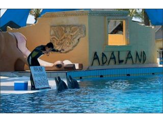 Hotel Dolphinpark Adaland, Kusadasi - 4