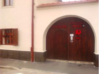 Pensiunea Cocosul Rosu, Sibiu-Oras - 3