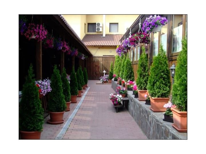 Hotel Malvina Sannicolau Mare Tel 072251