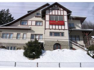 Vila Gabriel, Sinaia - 4