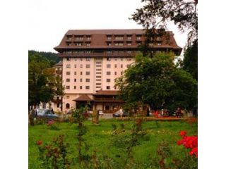 Hotel Best Western Bucovina, Gura Humorului - 1