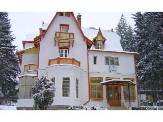 Vila Camelia, Sinaia - 3