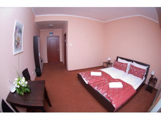 Hotel Arta, Timisoara - 3