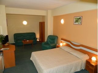 Hotel Elizeu, Bucuresti - 5