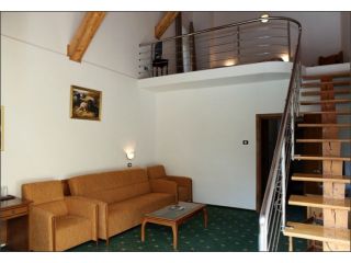 Complex turistic Casa Viorel, Poiana Brasov - 4