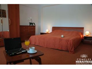 Hotel Herastrau, Bucuresti - 3